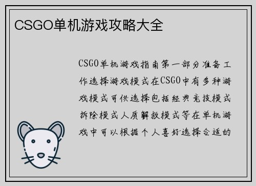 CSGO单机游戏攻略大全